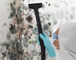  Pojoaque, NM Mold Prevention & Removal Pros